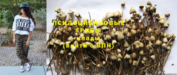 спиды Абинск