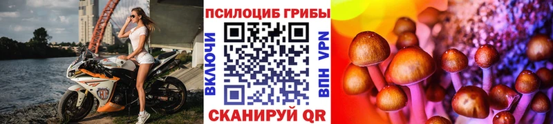 что такое   Абдулино  Галлюциногенные грибы мицелий 